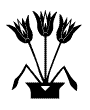 papyrus