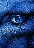 Saphira