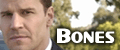 Bones