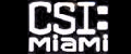 Les Experts : Miami